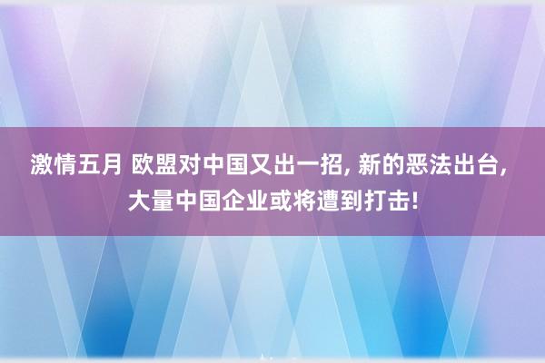 激情五月 欧盟对中国又出一招， 新的恶法出台， 大量中国企业或将遭到打击!