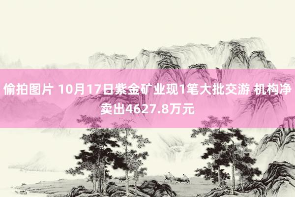 偷拍图片 10月17日紫金矿业现1笔大批交游 机构净卖出4627.8万元