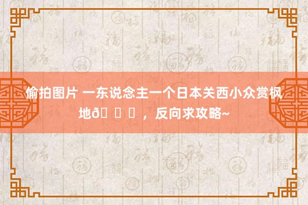 偷拍图片 一东说念主一个日本关西小众赏枫地🍁，反向求攻略~