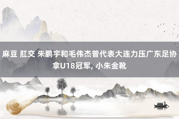麻豆 肛交 朱鹏宇和毛伟杰曾代表大连力压广东足协拿U18冠军， 小朱金靴